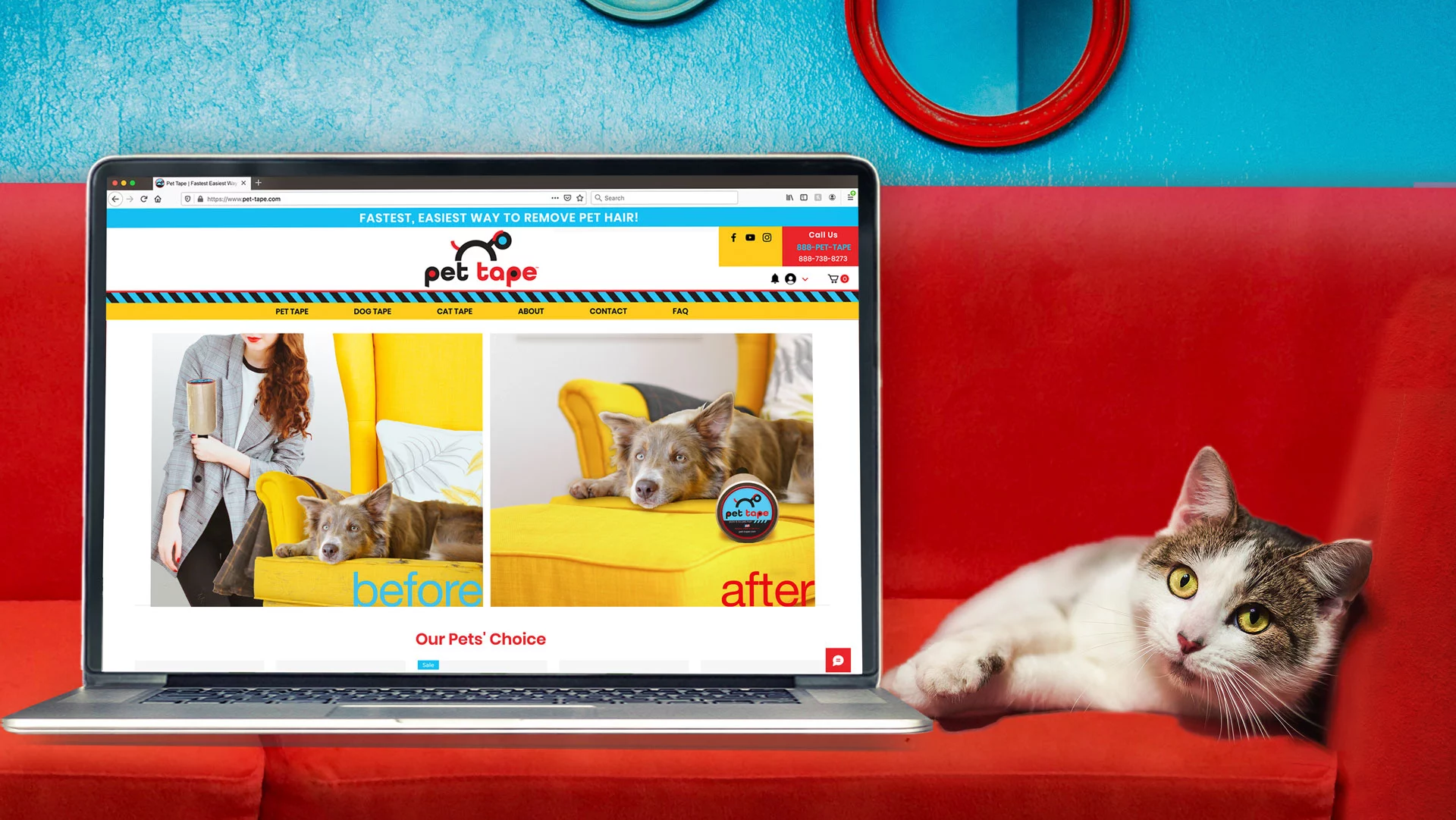 Pet Tape Web Site Design and Maintenance